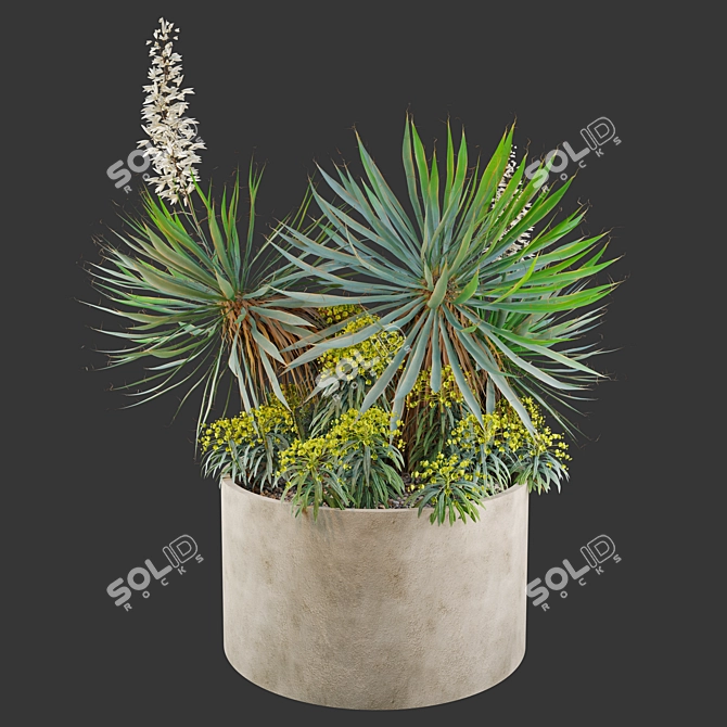 Yucca Euphorbia Planters 3D Model 3D model image 2