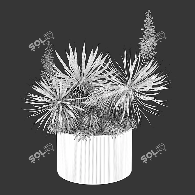 Yucca Euphorbia Planters 3D Model 3D model image 3