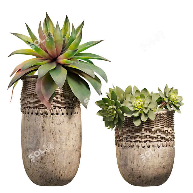 Dual Succulent Planter Scene Kit 3D model image 1