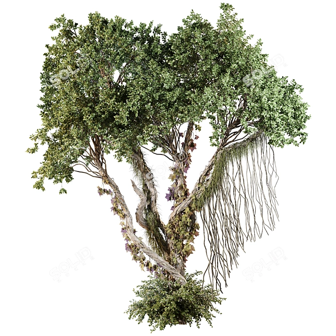 Jungle Tree & Ivy Plants Kit 3D model image 1