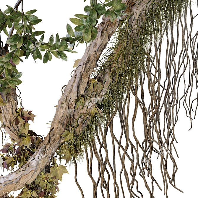 Jungle Tree & Ivy Plants Kit 3D model image 2