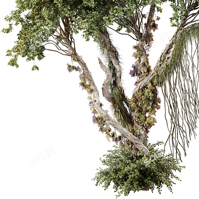 Jungle Tree & Ivy Plants Kit 3D model image 3