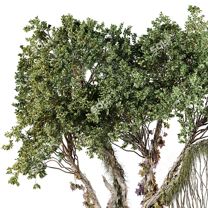 Jungle Tree & Ivy Plants Kit 3D model image 4