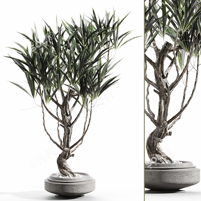 Cascading Branches in Vases 3D model image 1