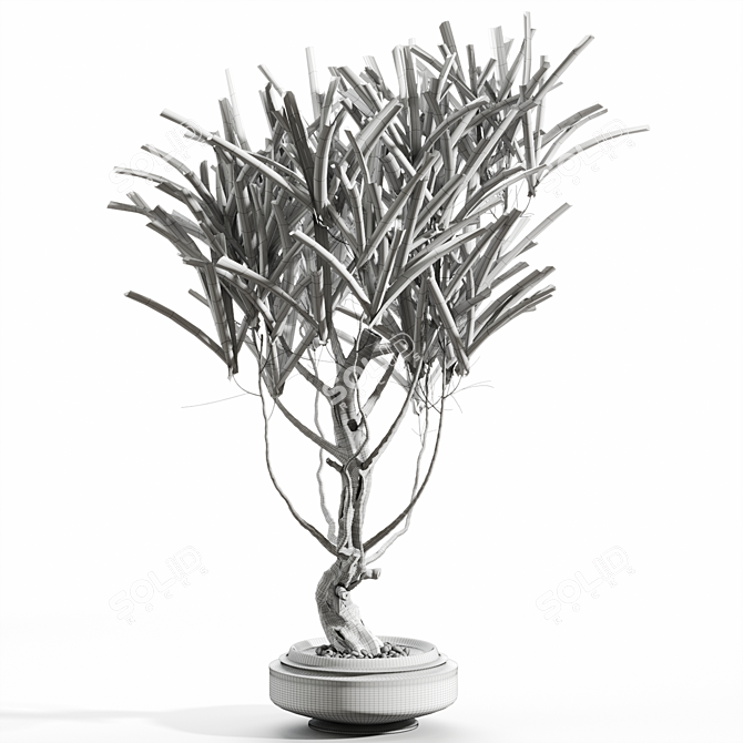 Cascading Branches in Vases 3D model image 2