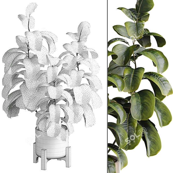 Modern Indoor Plant 515 Design 3D model image 2