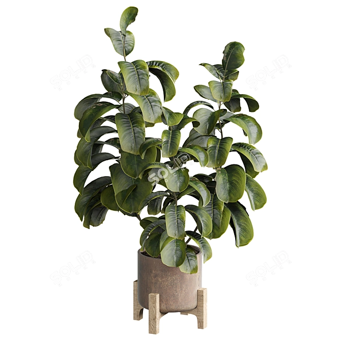 Modern Indoor Plant 515 Design 3D model image 3