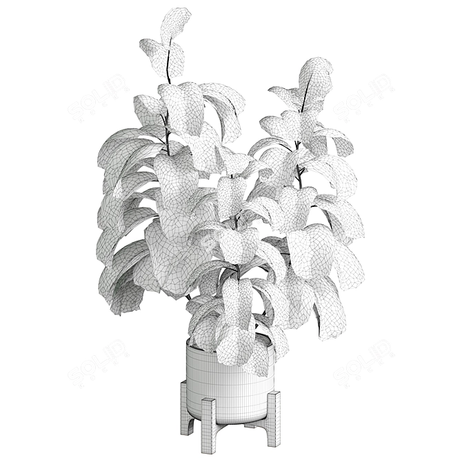 Modern Indoor Plant 515 Design 3D model image 4