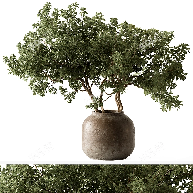 Elegant Green Branch Bouquet 3D model image 1