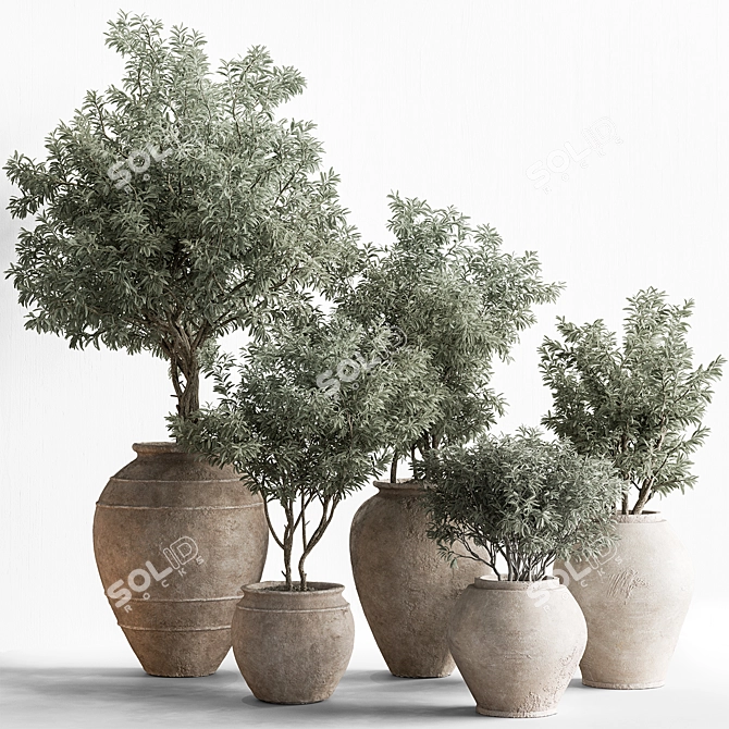  742 Indoor Tree in Pot 3D model image 1