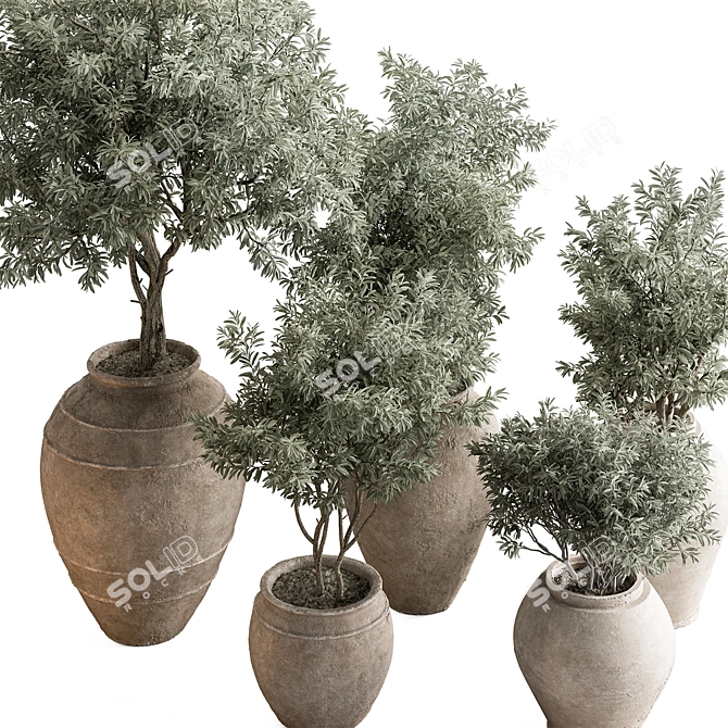  742 Indoor Tree in Pot 3D model image 2