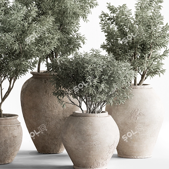  742 Indoor Tree in Pot 3D model image 3