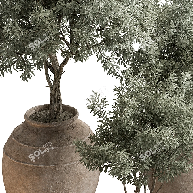  742 Indoor Tree in Pot 3D model image 6