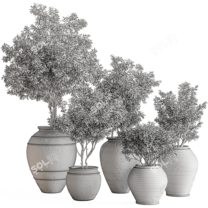  742 Indoor Tree in Pot 3D model image 7