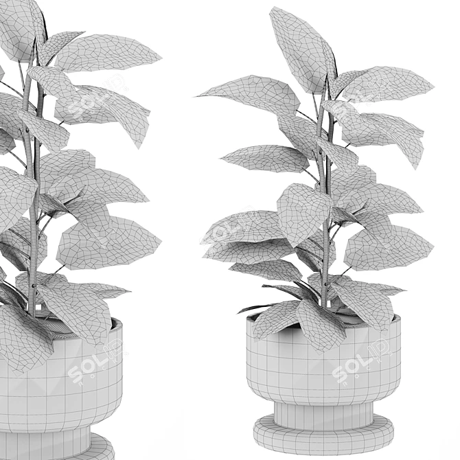 32k Plants Set for 3Dmax 3D model image 3