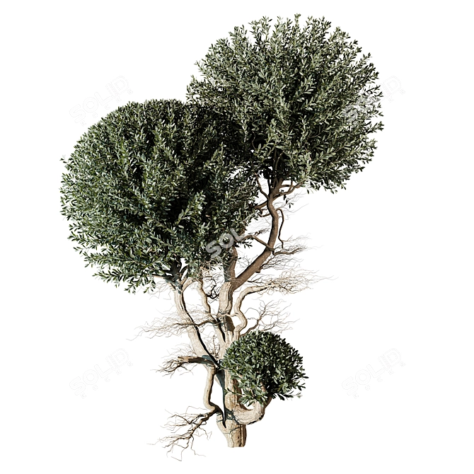 Tree Vol 17 3D Model 3D model image 1