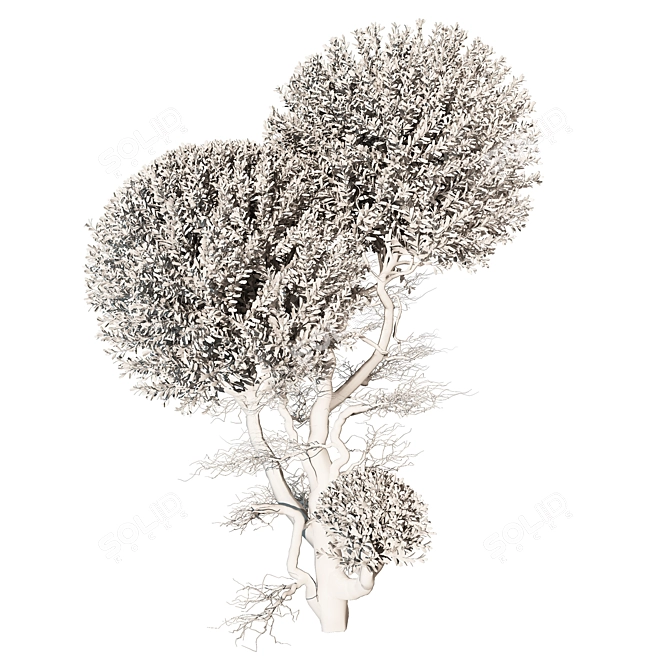 Tree Vol 17 3D Model 3D model image 4