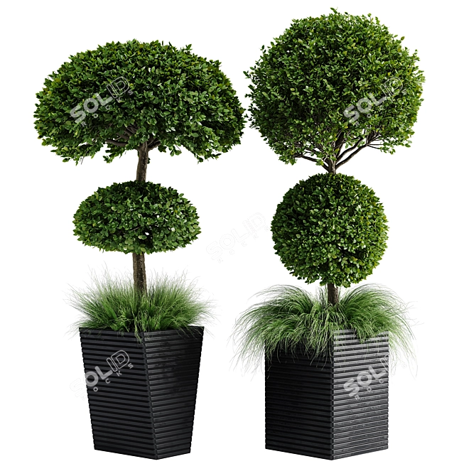 Centimeter Outdoor Plant Set 01 3D model image 1