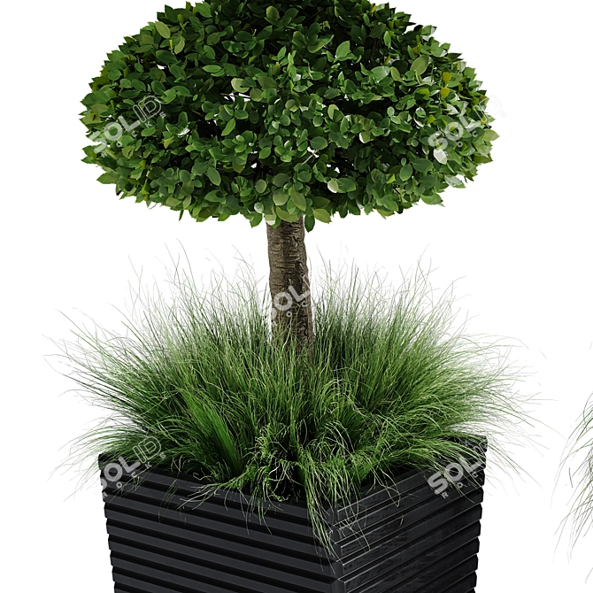 Centimeter Outdoor Plant Set 01 3D model image 2