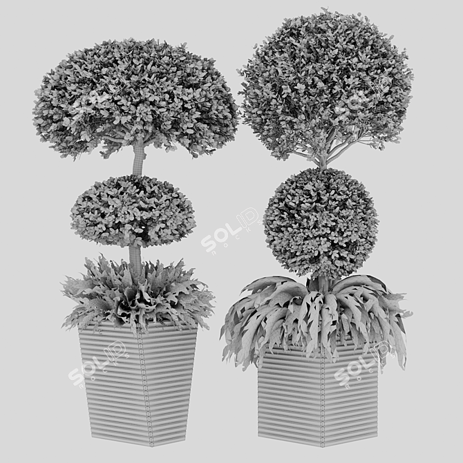 Centimeter Outdoor Plant Set 01 3D model image 4