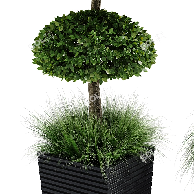 Centimeter Outdoor Plant Set 01 3D model image 7