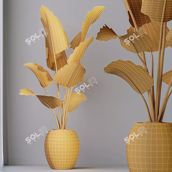 Tropical Bird of Paradise Plant 3D model image 5