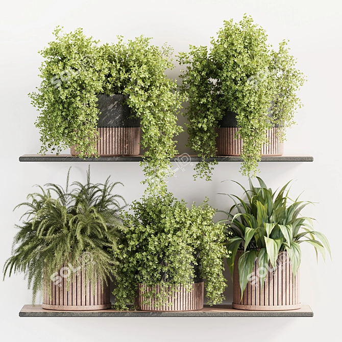 High-Quality Indoor Plants Set 3D model image 1