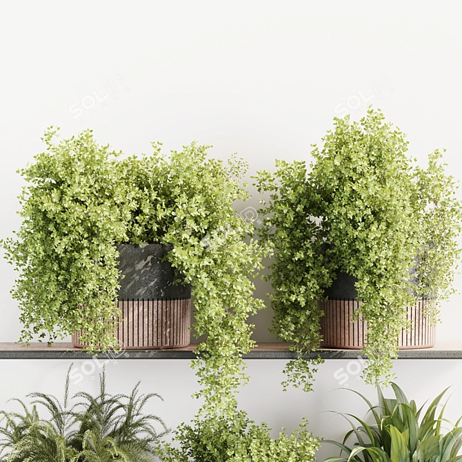 High-Quality Indoor Plants Set 3D model image 2