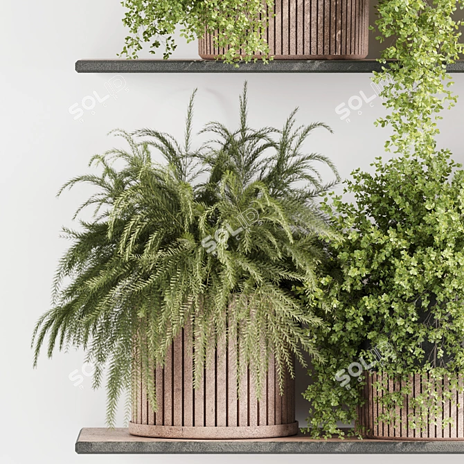 High-Quality Indoor Plants Set 3D model image 3