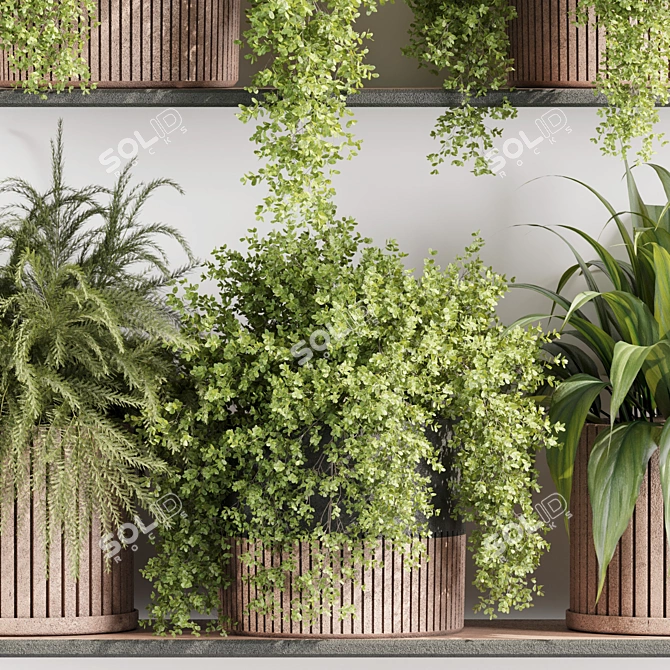 High-Quality Indoor Plants Set 3D model image 4