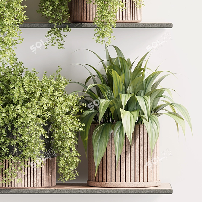 High-Quality Indoor Plants Set 3D model image 5