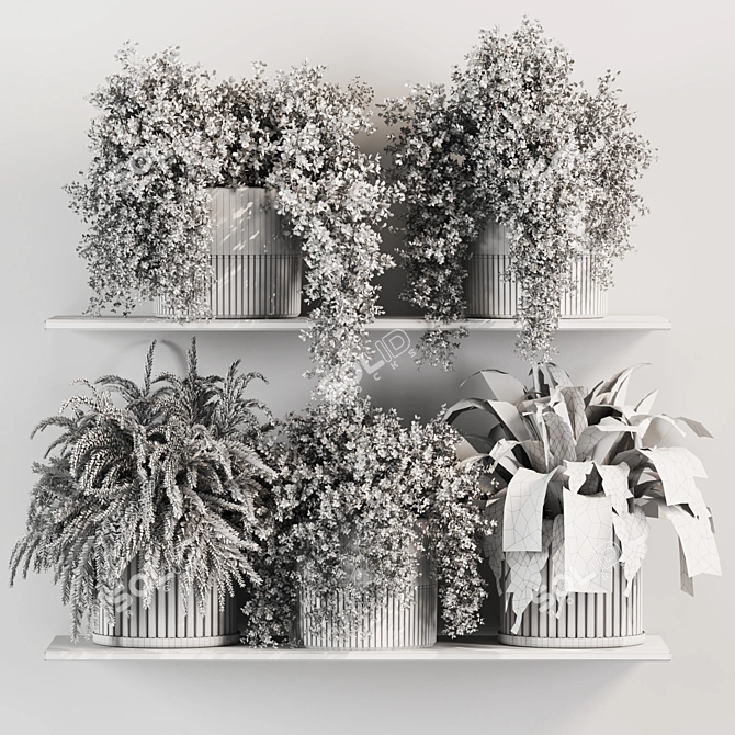 High-Quality Indoor Plants Set 3D model image 6