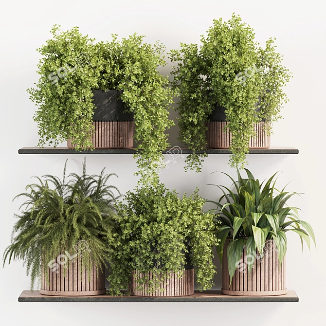 High-Quality Indoor Plants Set 3D model image 7