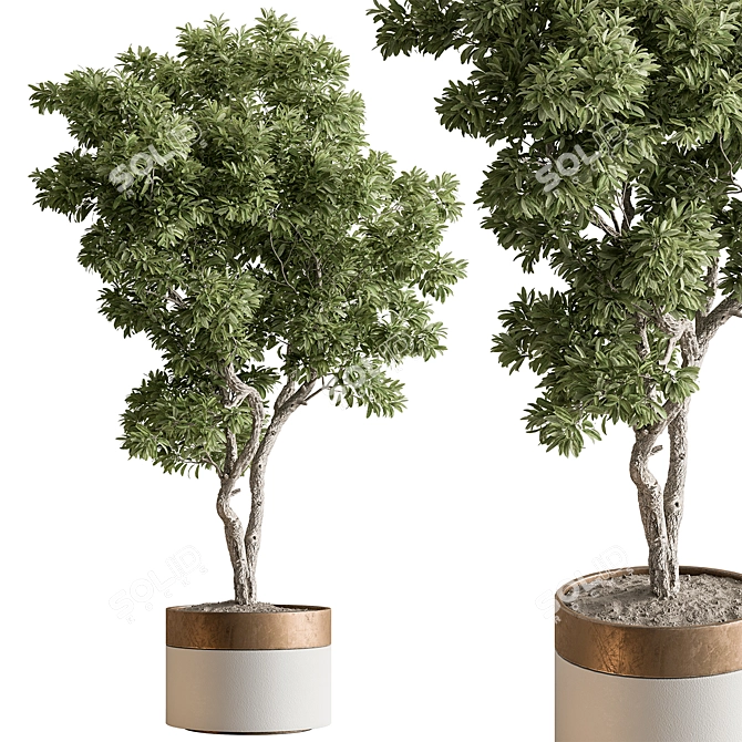 Foliage Finesse: Tree in Pot 3D model image 1