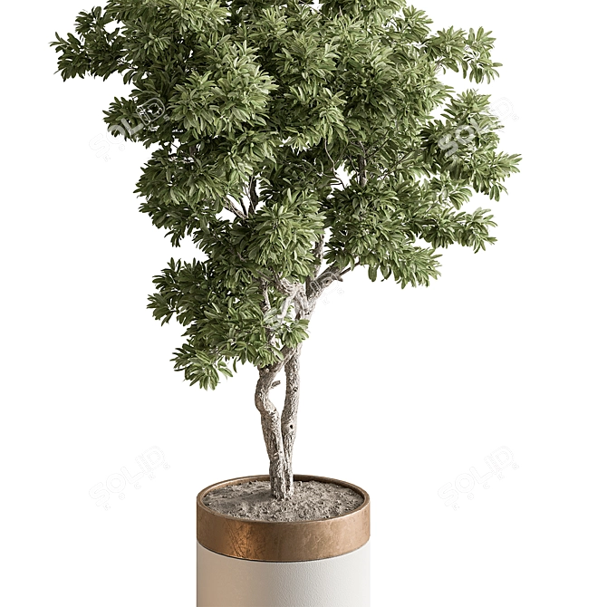 Foliage Finesse: Tree in Pot 3D model image 2