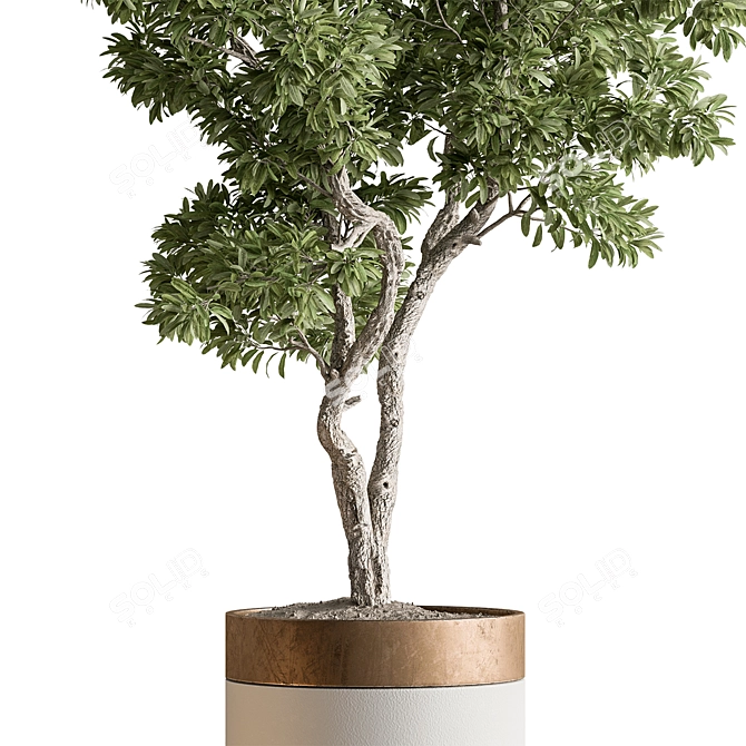 Foliage Finesse: Tree in Pot 3D model image 3