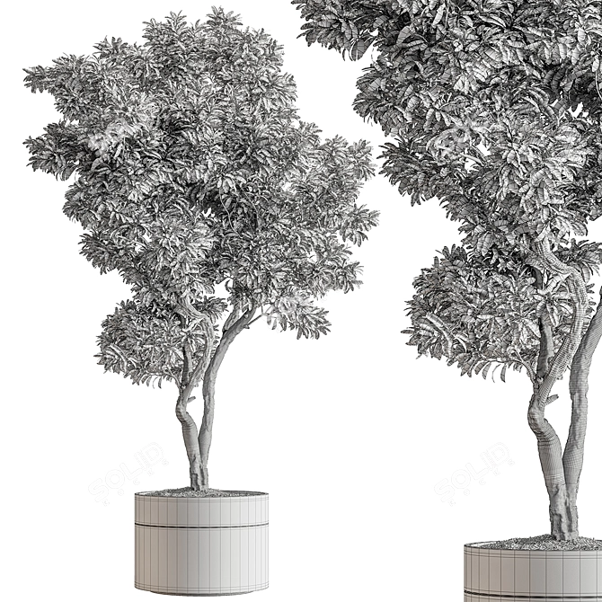 Foliage Finesse: Tree in Pot 3D model image 4