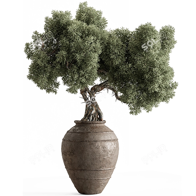 Bonsai Plant 743 - Indoor Beauty 3D model image 1