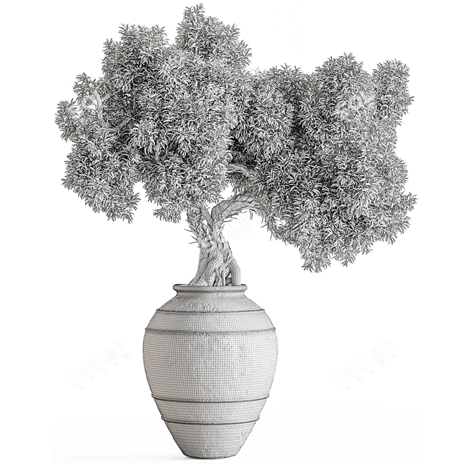 Bonsai Plant 743 - Indoor Beauty 3D model image 5