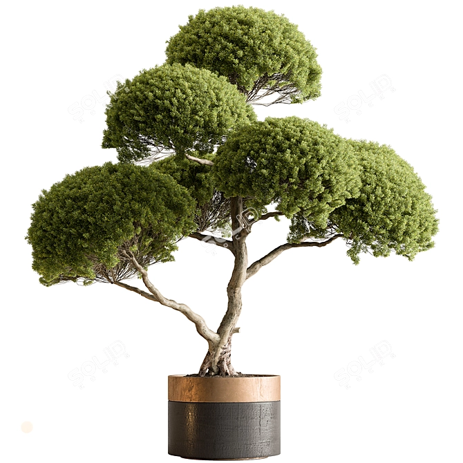 Foliage Oasis: Tree in Pot 3D model image 1