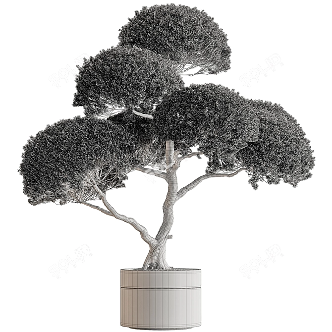 Foliage Oasis: Tree in Pot 3D model image 3