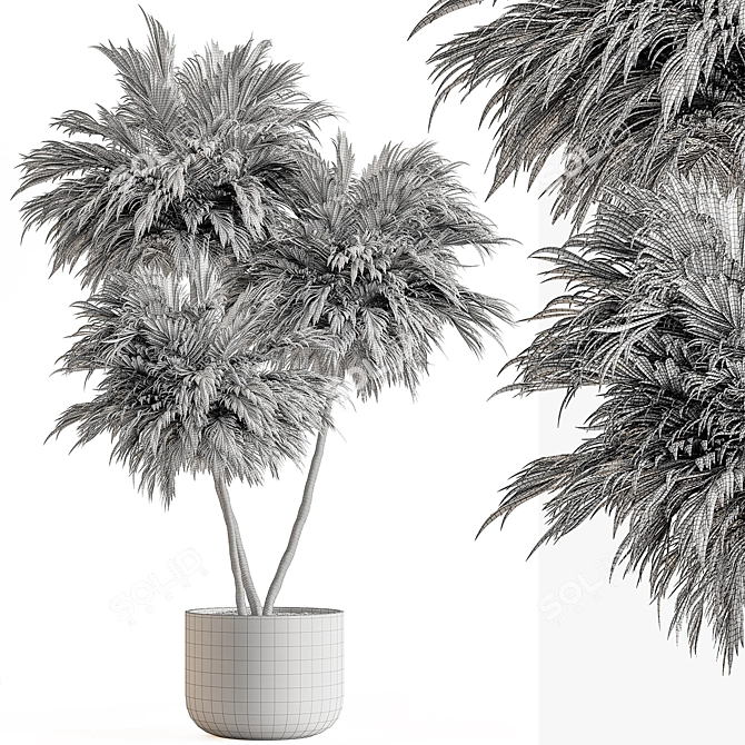 Outdoor Tree in Pot Display 3D model image 4