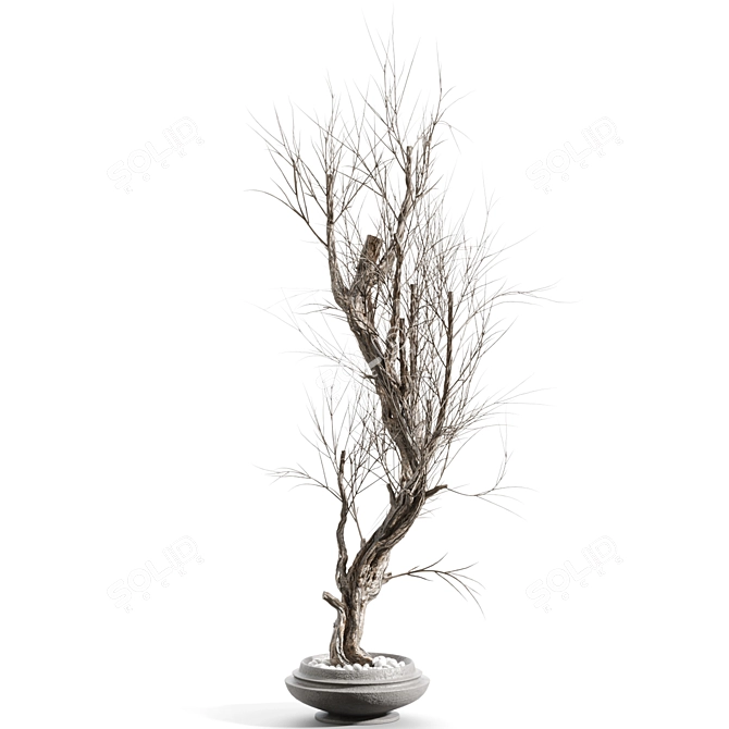 Twig Decor Vase Set 3D model image 1