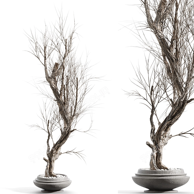 Twig Decor Vase Set 3D model image 2