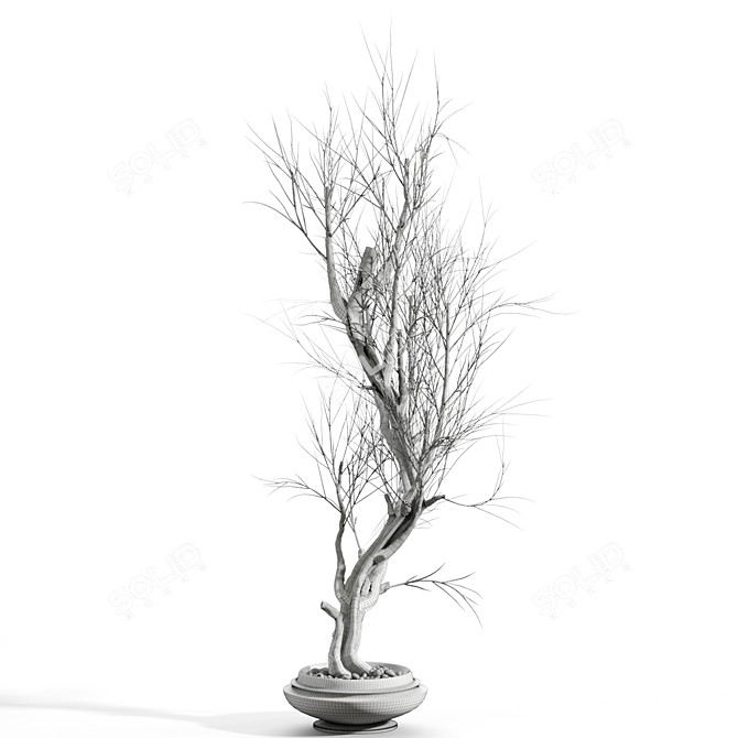 Twig Decor Vase Set 3D model image 3