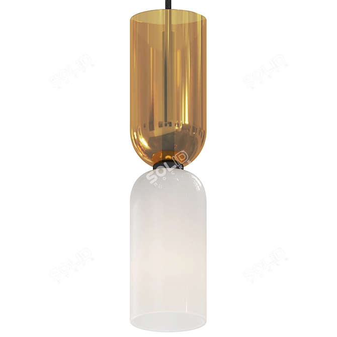 Adjustable Memory Pendant Light 3D model image 2