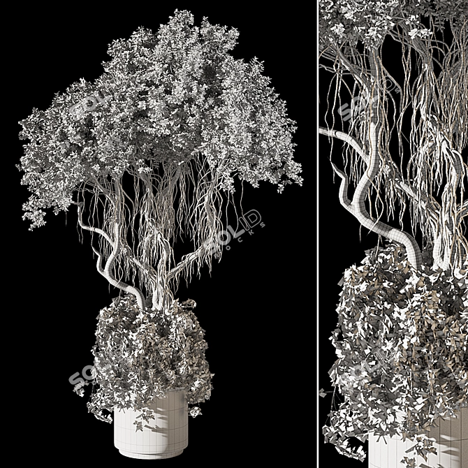 Premium Bonsai Tree 3D Model 3D model image 6