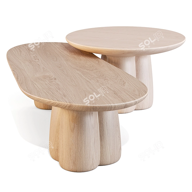 Soniah Handcrafted Ash Tables 3D model image 5