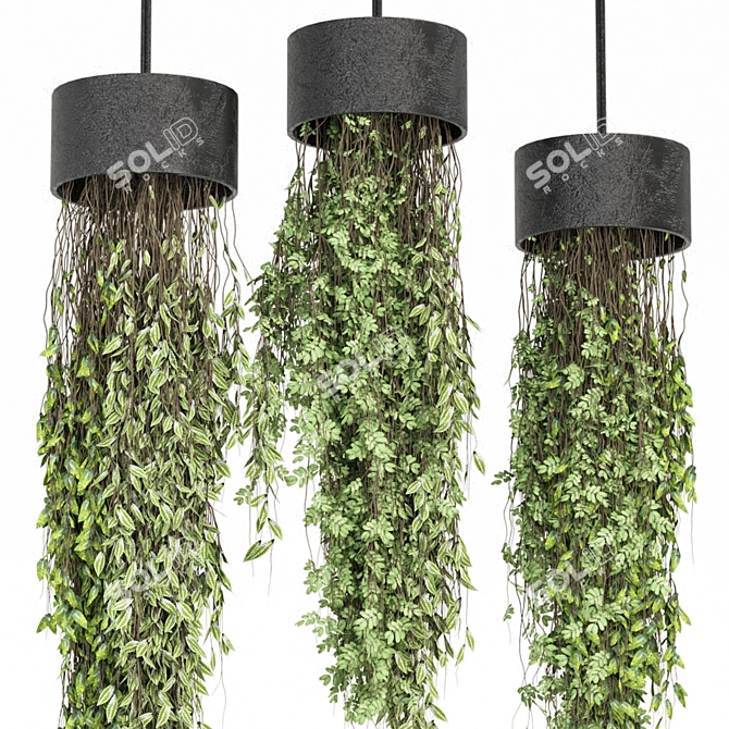 Botanical Bliss Collection Set 3D model image 2