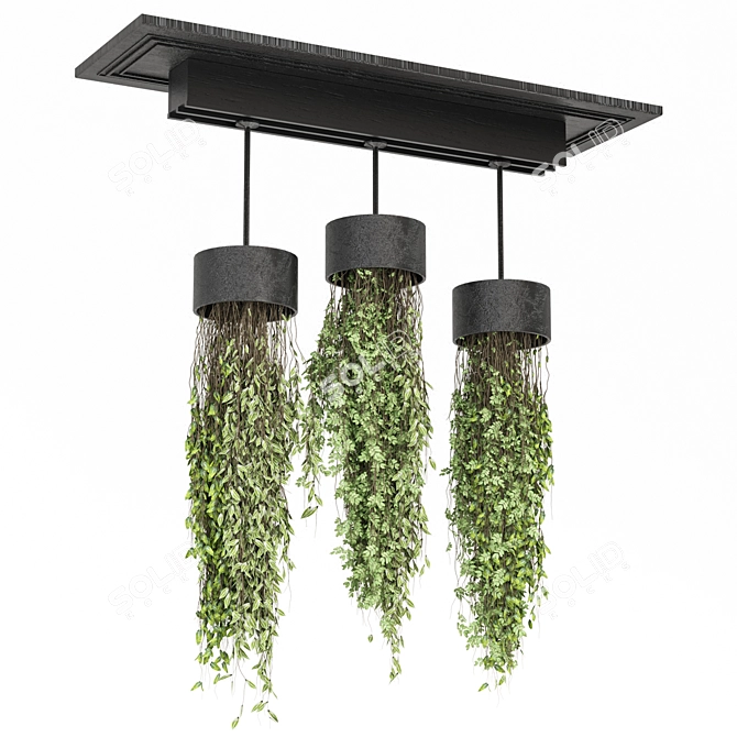 Botanical Bliss Collection Set 3D model image 5